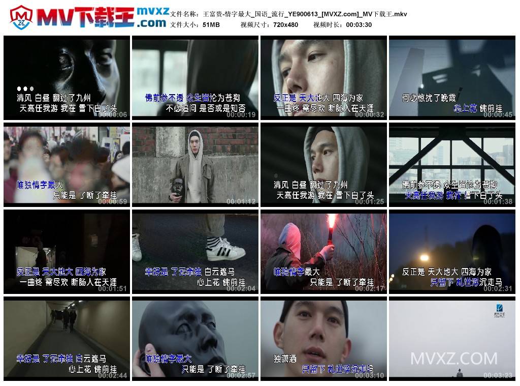 王富贵-情字最大_国语_流行_YE900613